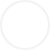 觀(guān)賞牡丹
